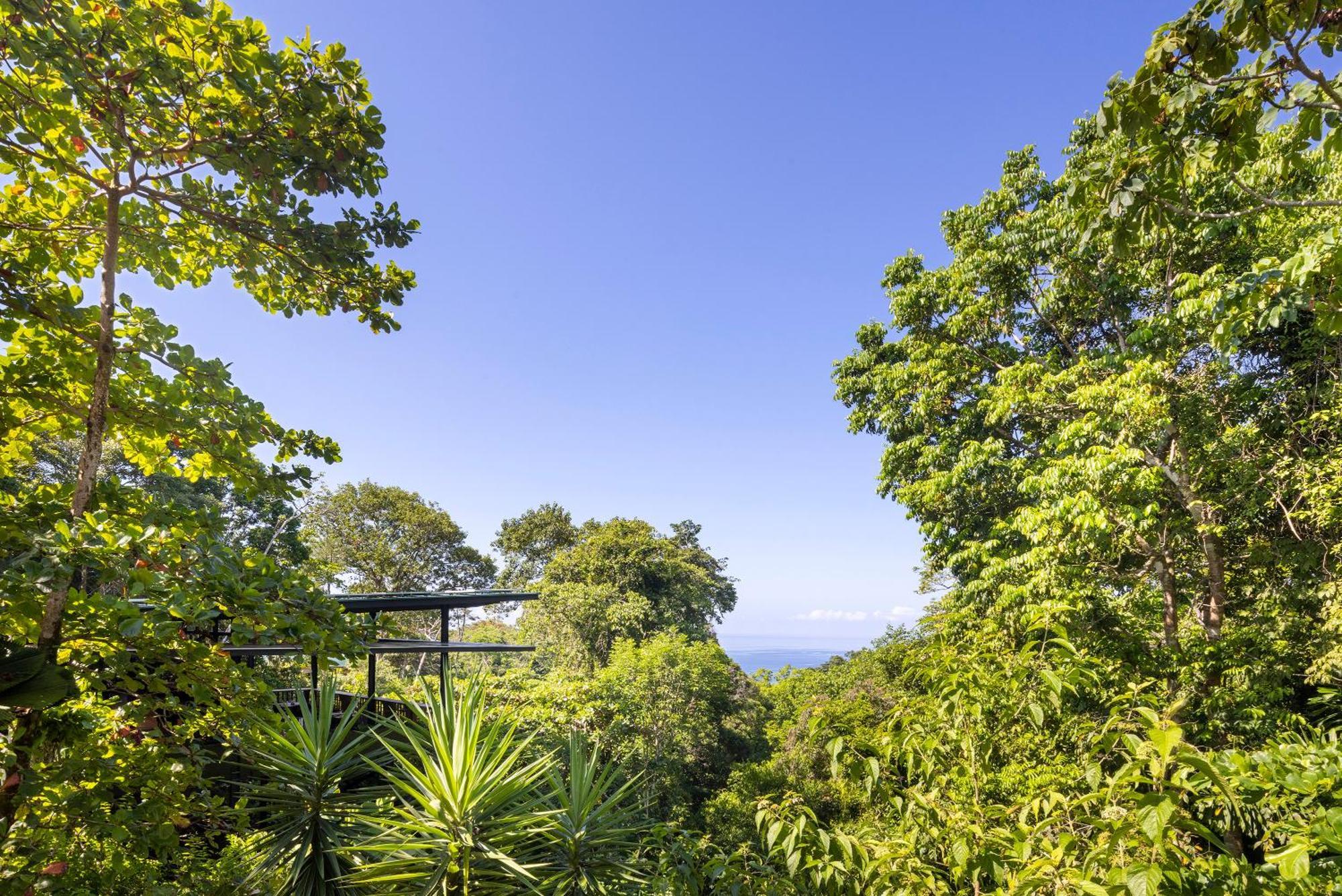 El Remanso Rainforest Lodge ปัวร์โตคิมาเนซ ภายนอก รูปภาพ