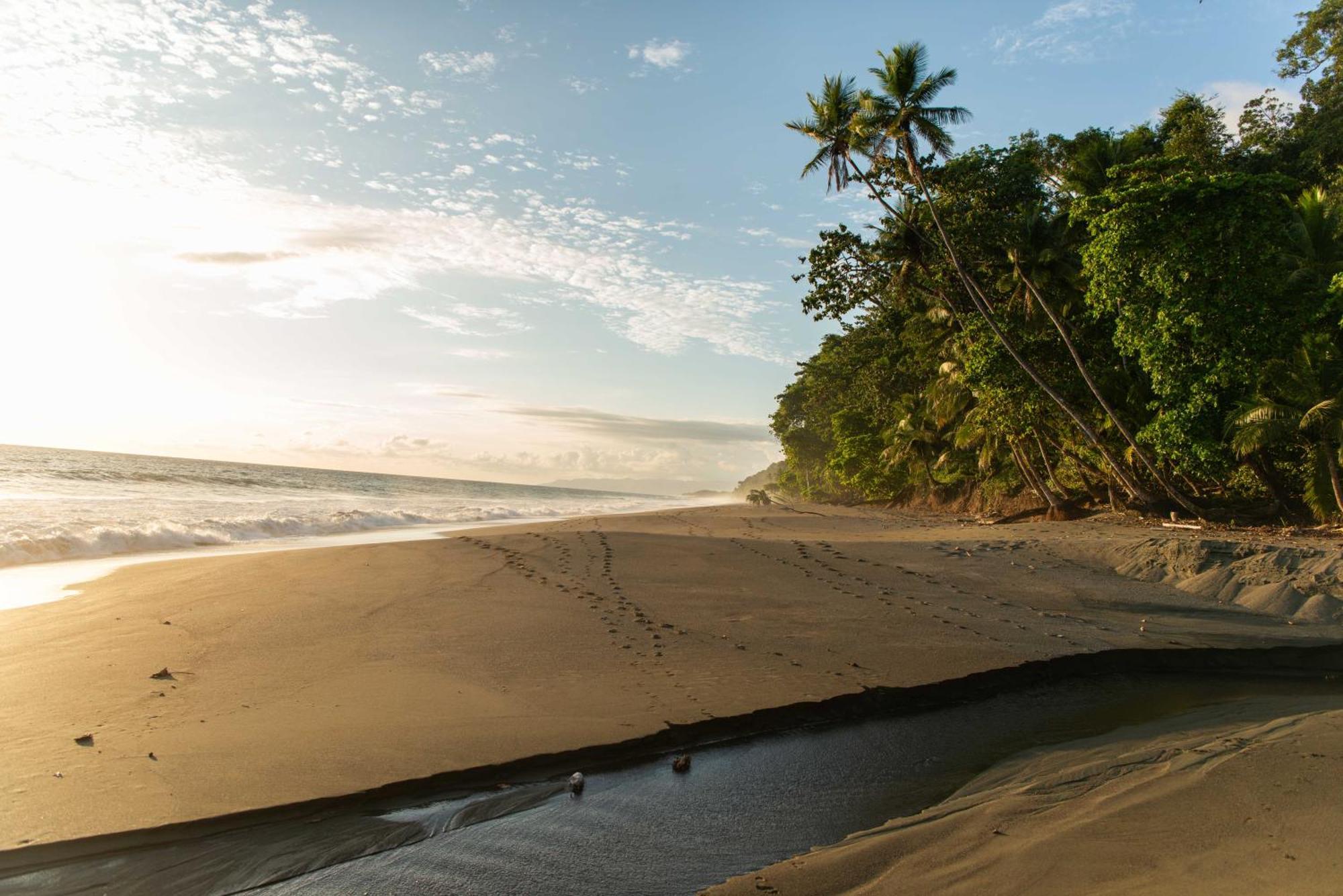 El Remanso Rainforest Lodge ปัวร์โตคิมาเนซ ภายนอก รูปภาพ