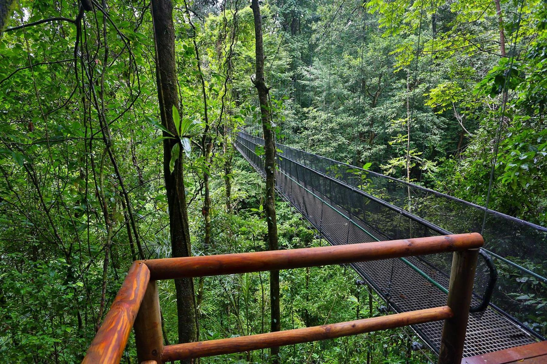 El Remanso Rainforest Lodge ปัวร์โตคิมาเนซ ภายนอก รูปภาพ