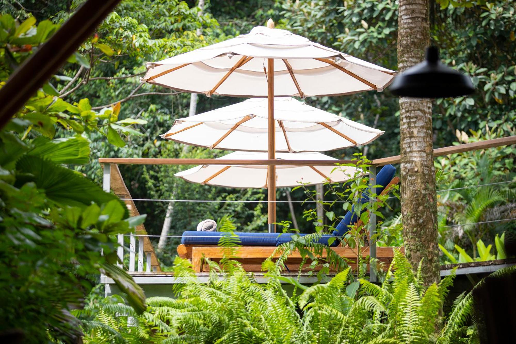 El Remanso Rainforest Lodge ปัวร์โตคิมาเนซ ภายนอก รูปภาพ