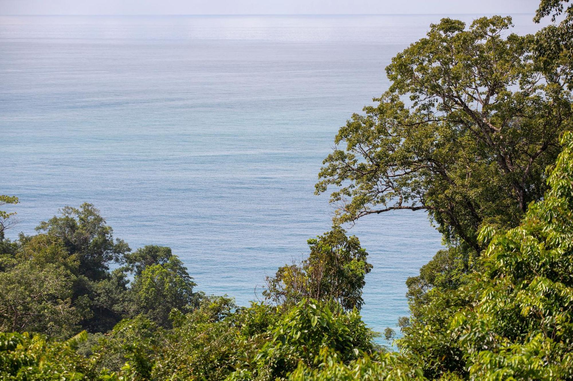 El Remanso Rainforest Lodge ปัวร์โตคิมาเนซ ภายนอก รูปภาพ