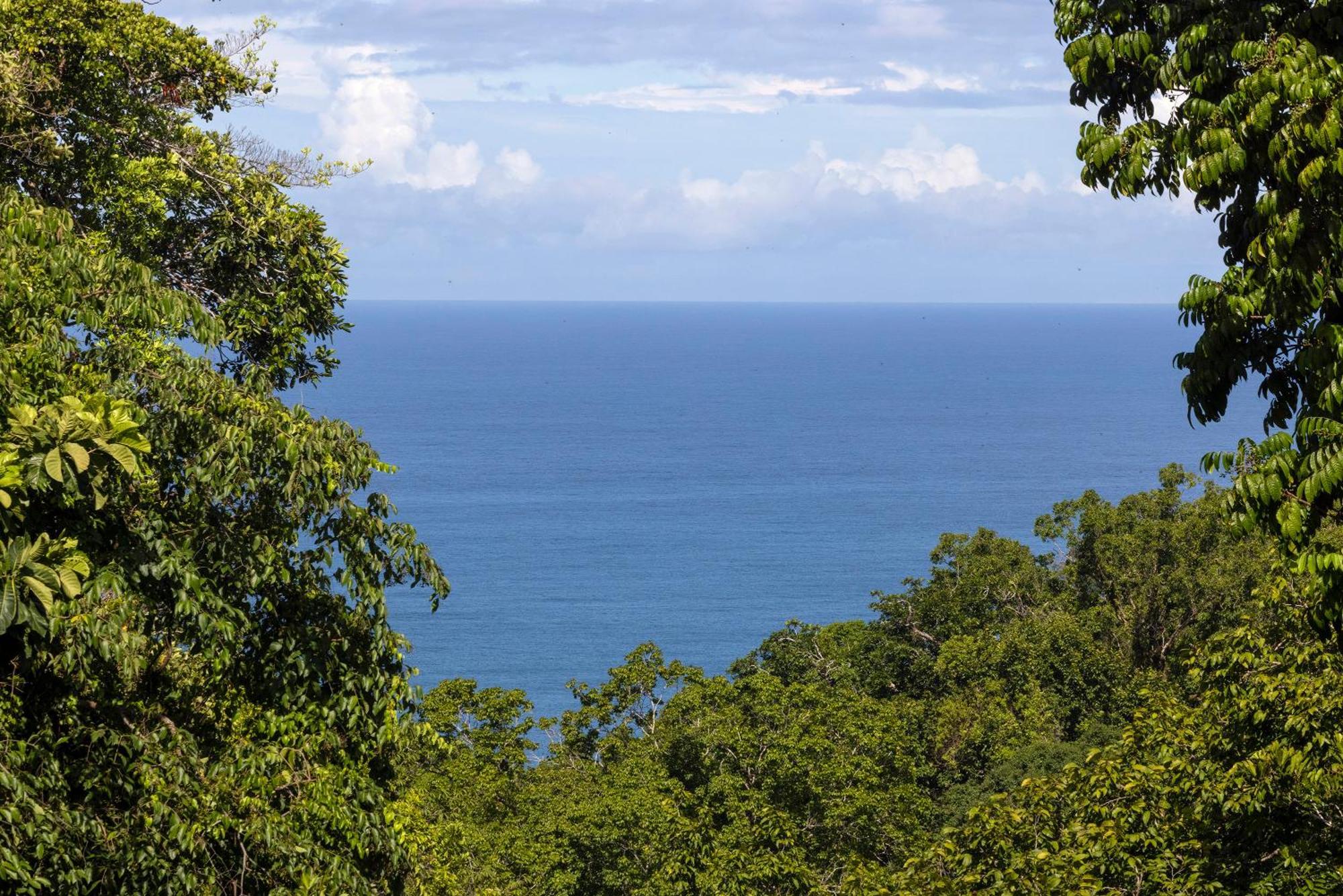El Remanso Rainforest Lodge ปัวร์โตคิมาเนซ ภายนอก รูปภาพ